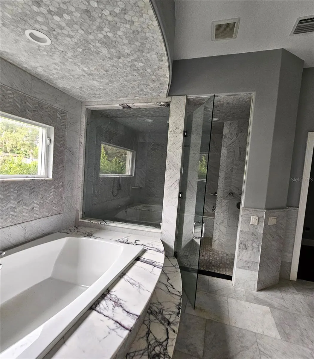tub/shower view