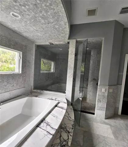 tub/shower view