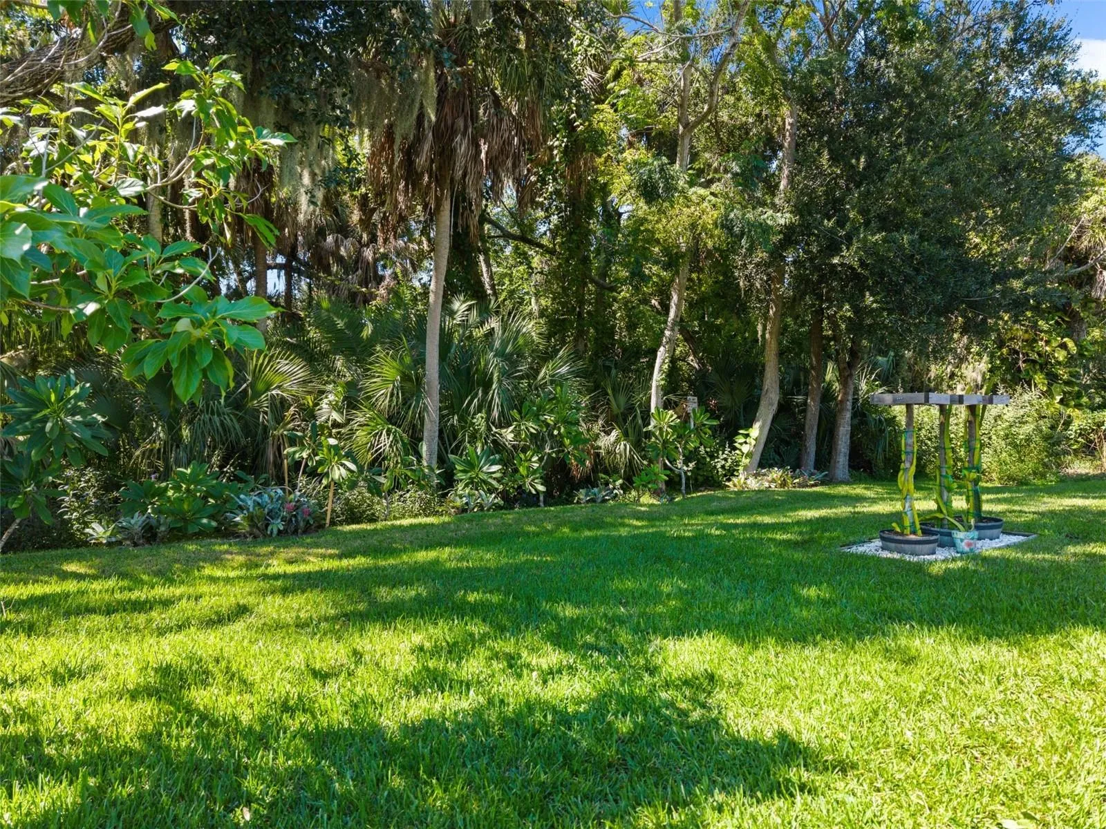 Backyard Preserve