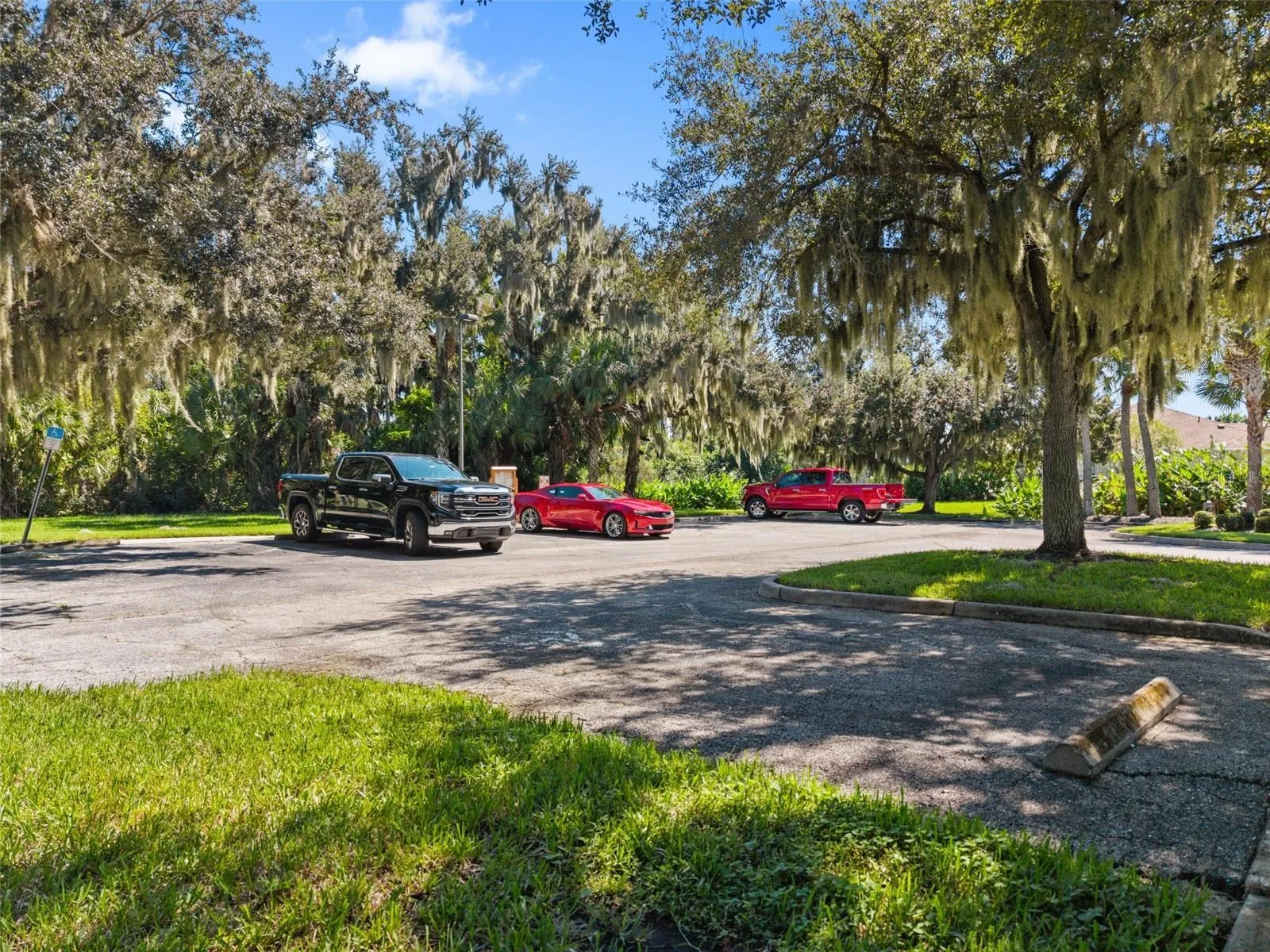 Common Area Parking Lot