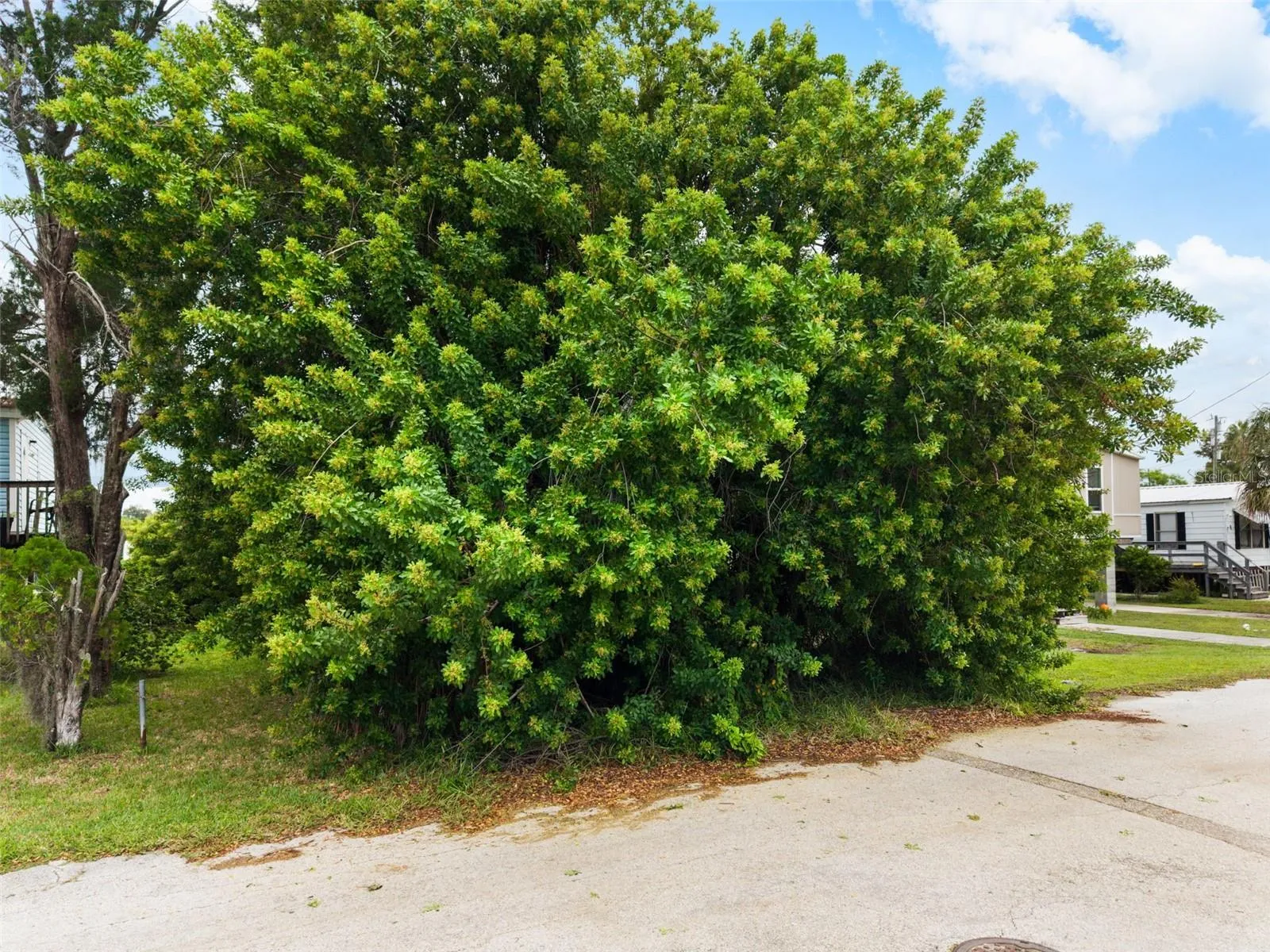 Street view highlighting the property frontage and established waterfront neighborhood.