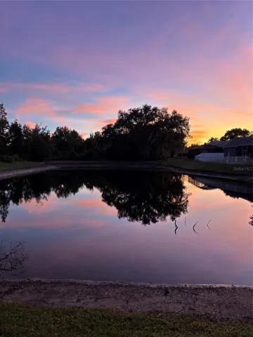 Pond at night