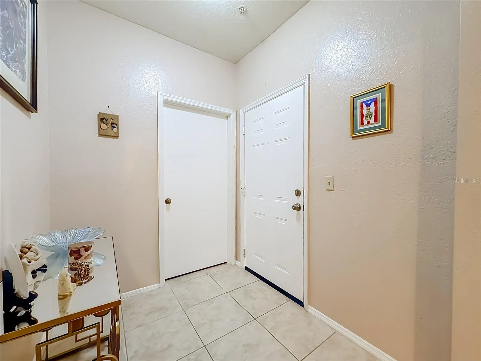 Foyer and laundry room door