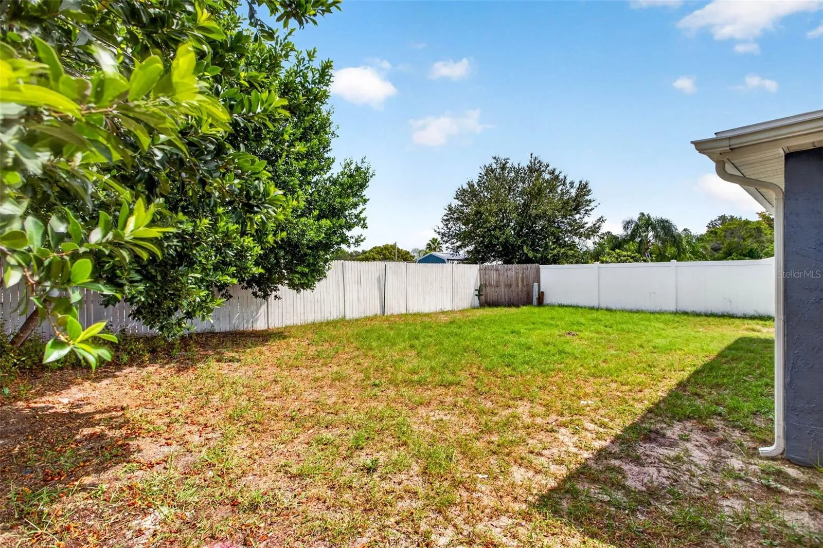 Fenced Backyard