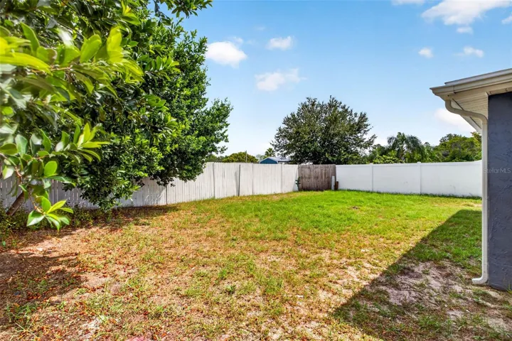 Fenced Backyard