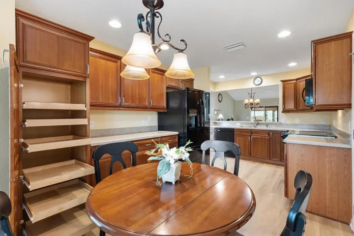 Kitchen - Notice Pull Outs on Pantry