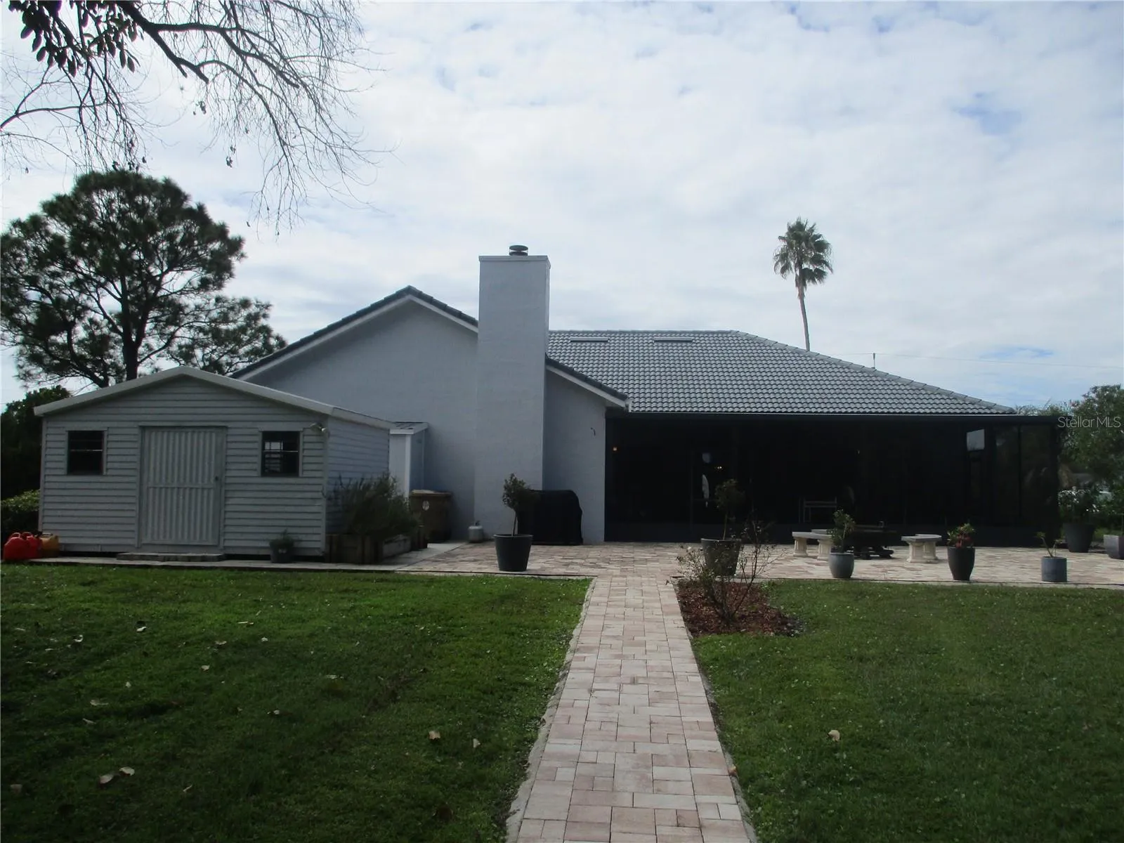 Rear