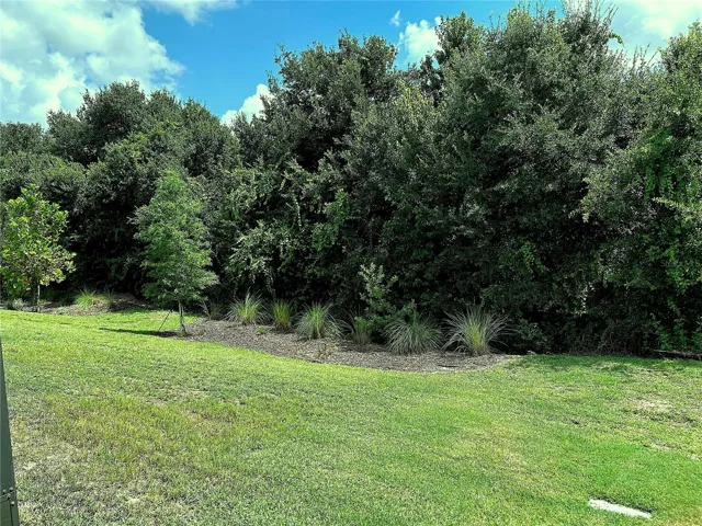 Back yard