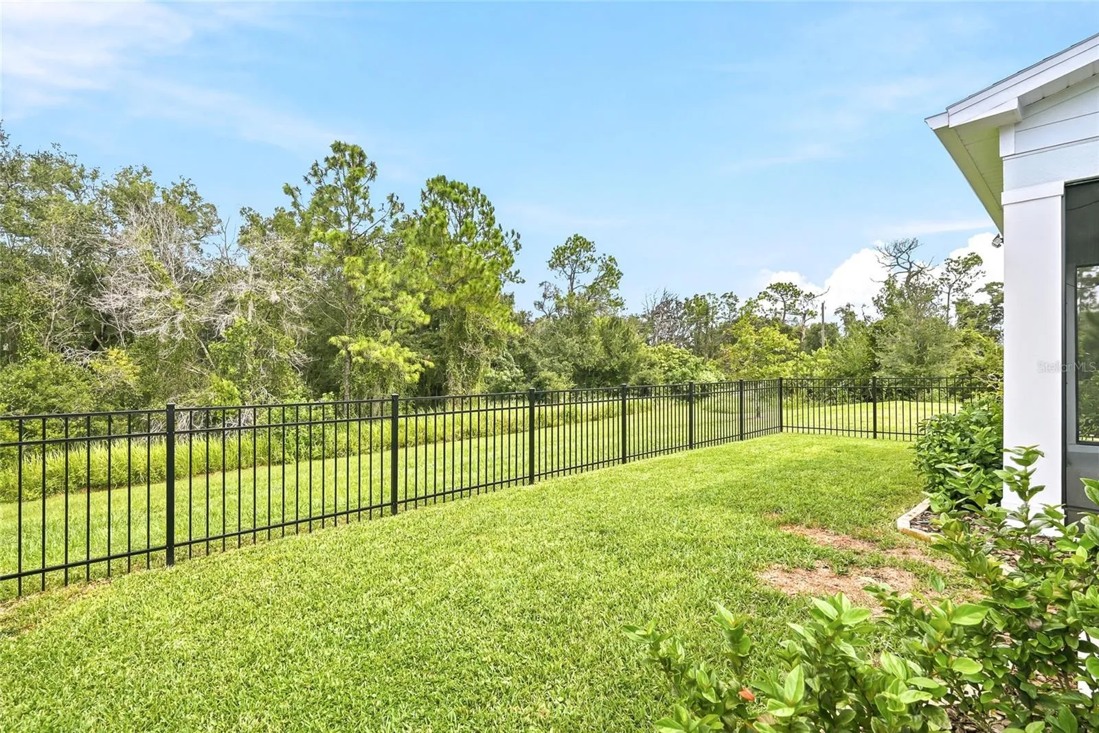 Newly fenced backyard