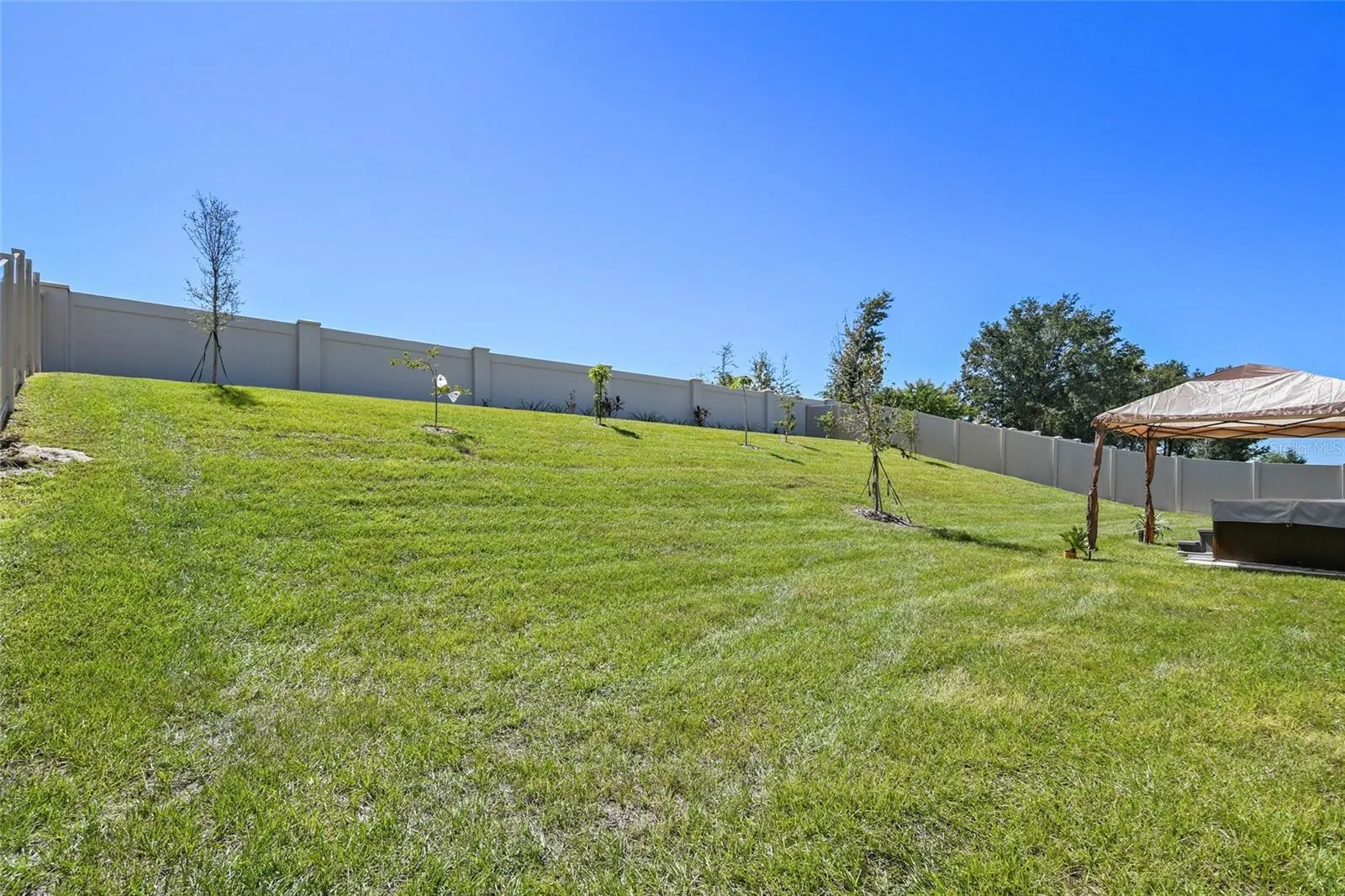 Fenced in backyard