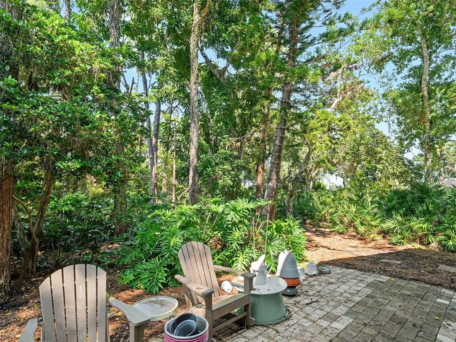 Patio and Preserve