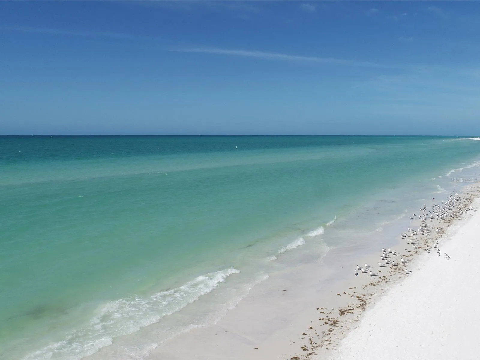 7 miles to beaches of Anna Maria Island