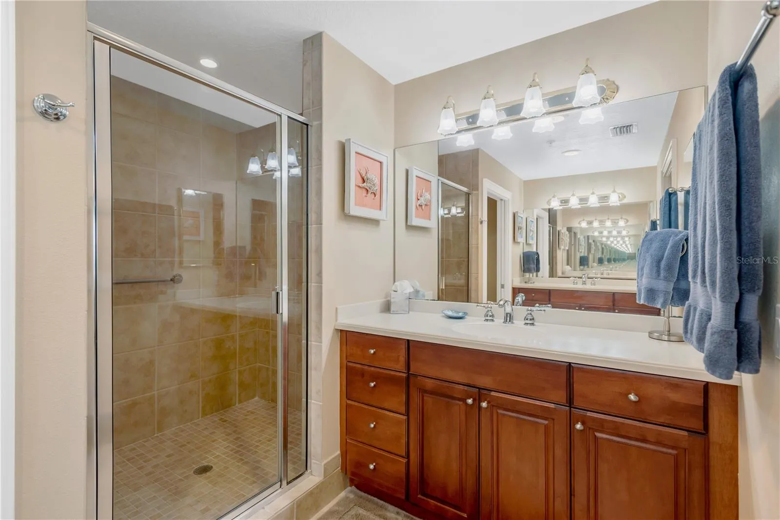 LARGE Walk-in shower, vanity and single basin