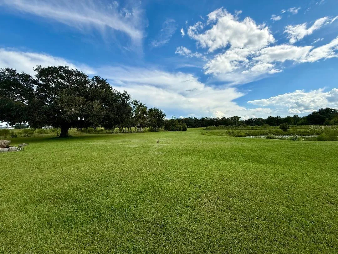 Back of the property