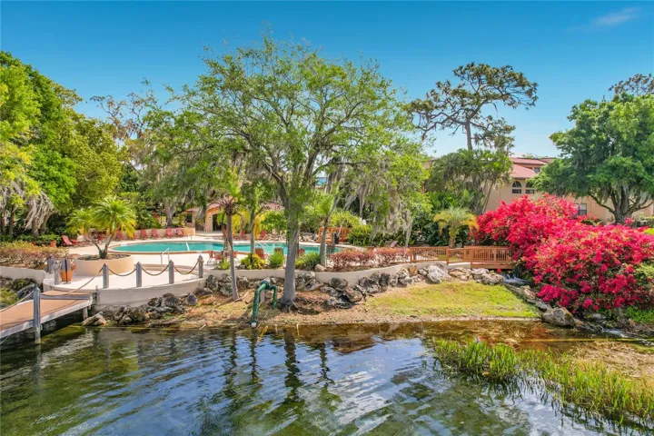 View of pool from Lake