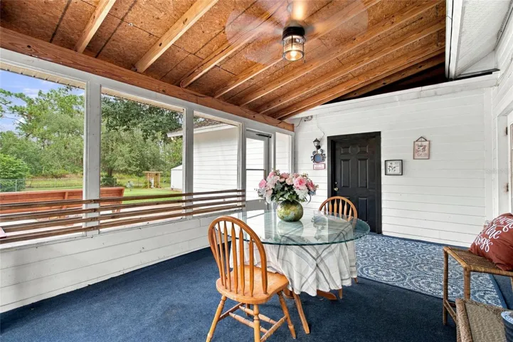 Enclosed patio.  The black door leads into the garage.