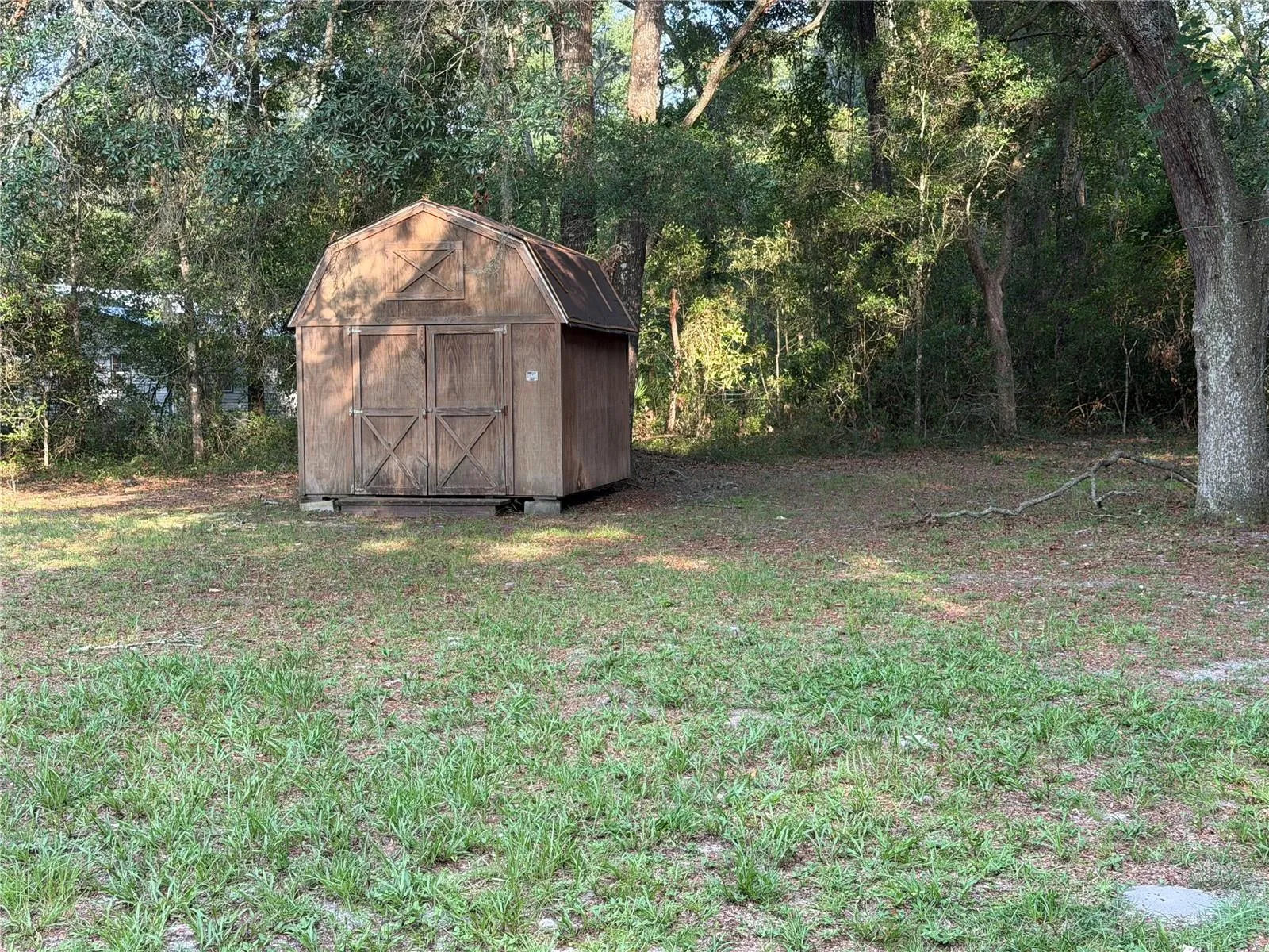 Shed and Yard