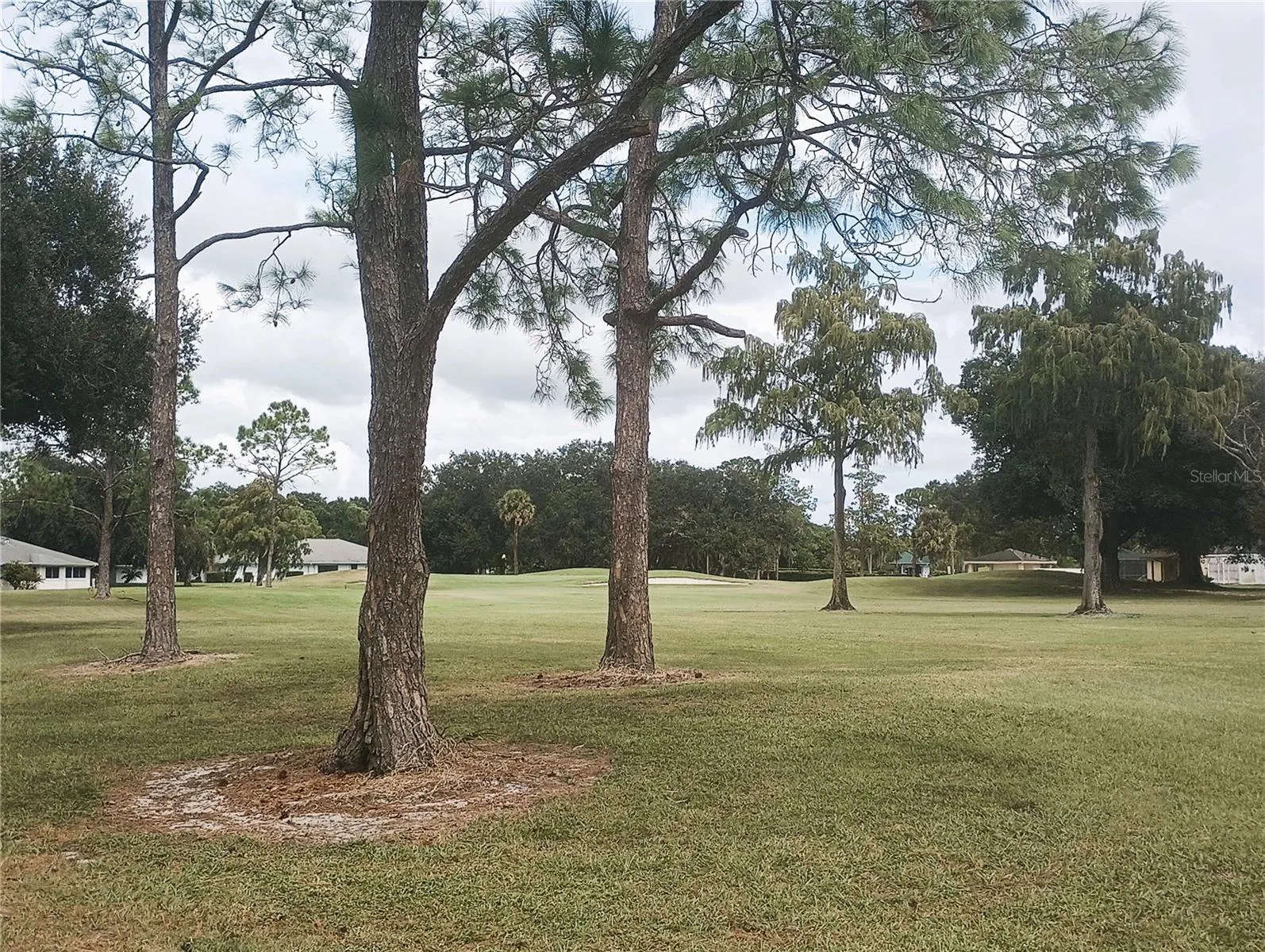 Golf Course View