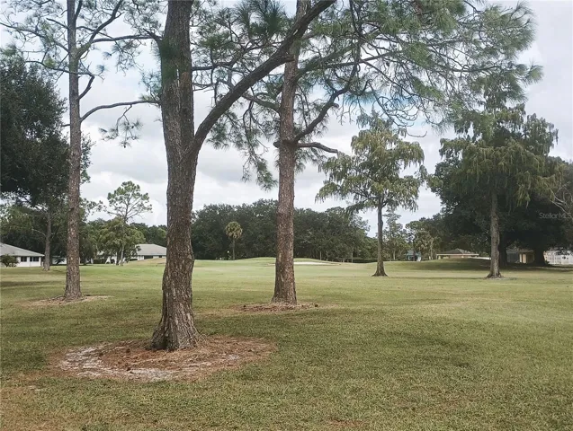 Golf Course View