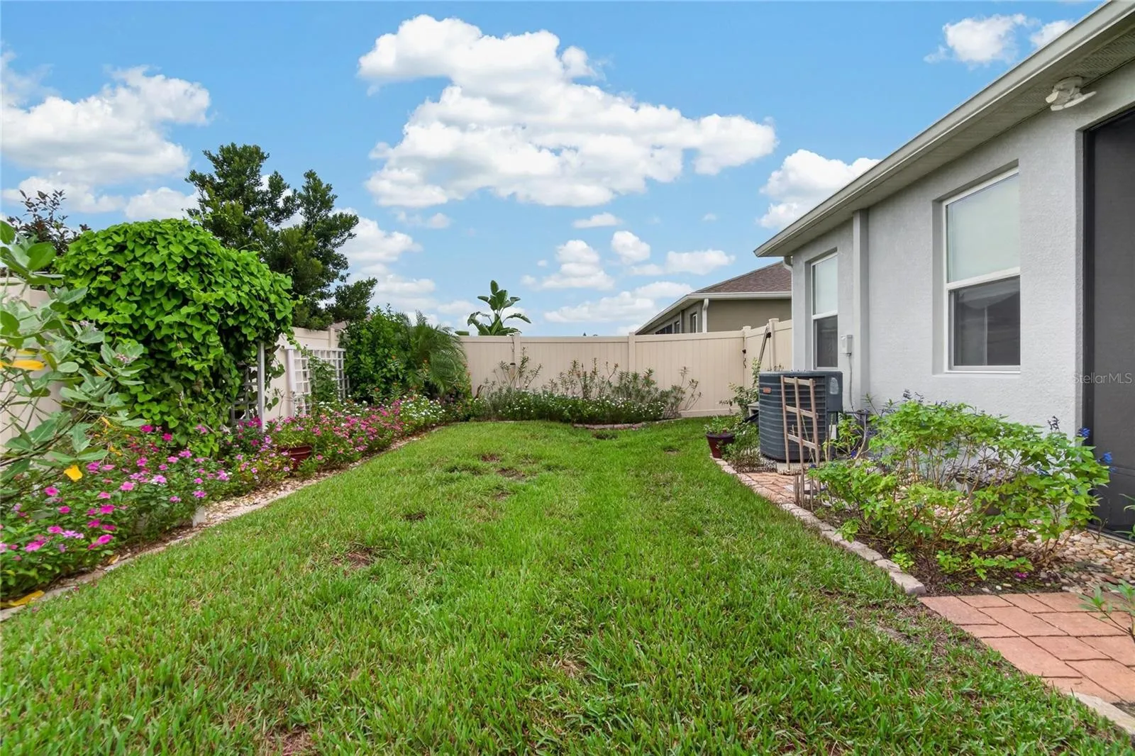 Established flowering plants bring color, personality and a garden ready feel to the private backyard