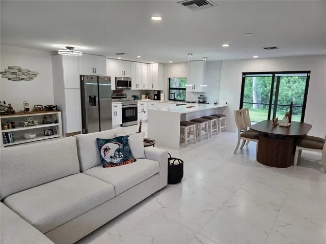 Living room/Kitchen