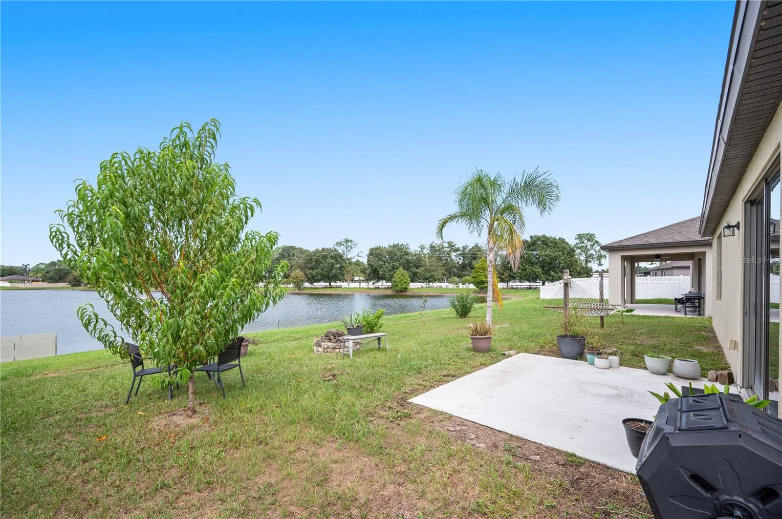 Backyard Pond View