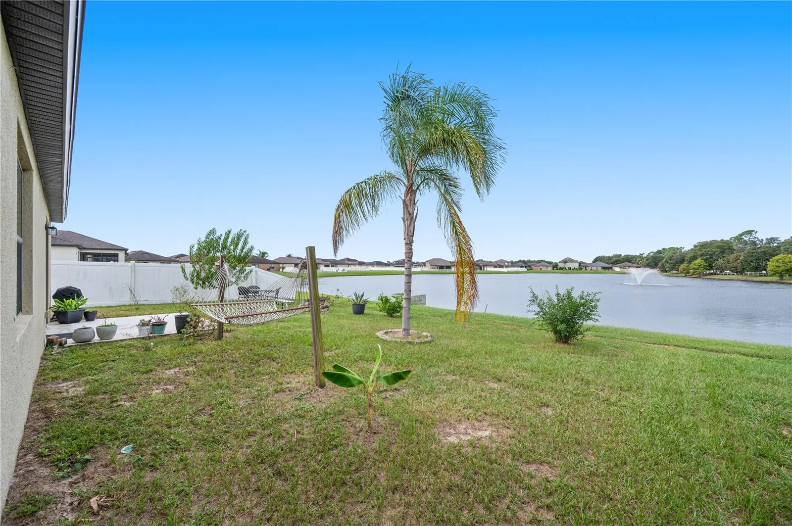 Backyard Pond View