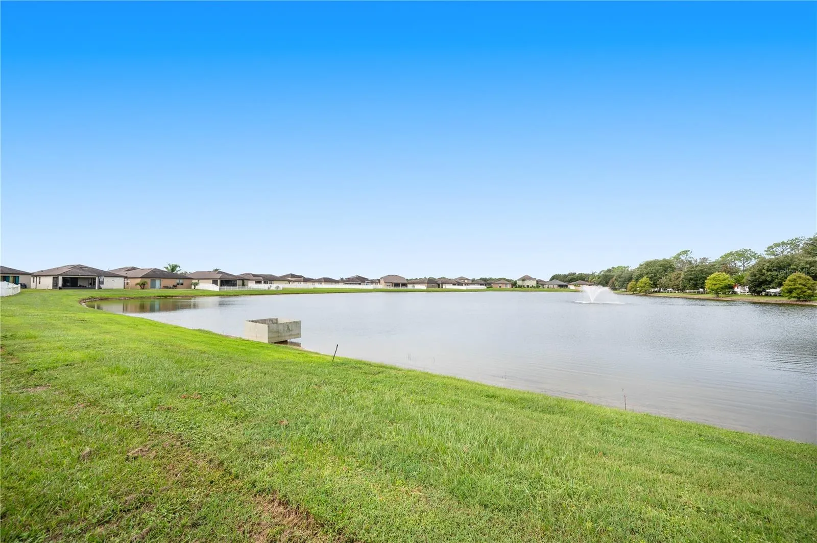 Backyard Pond View