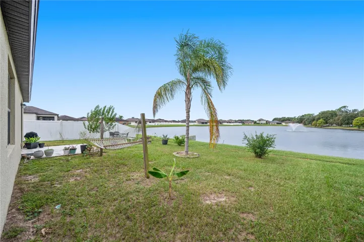 Backyard Pond View