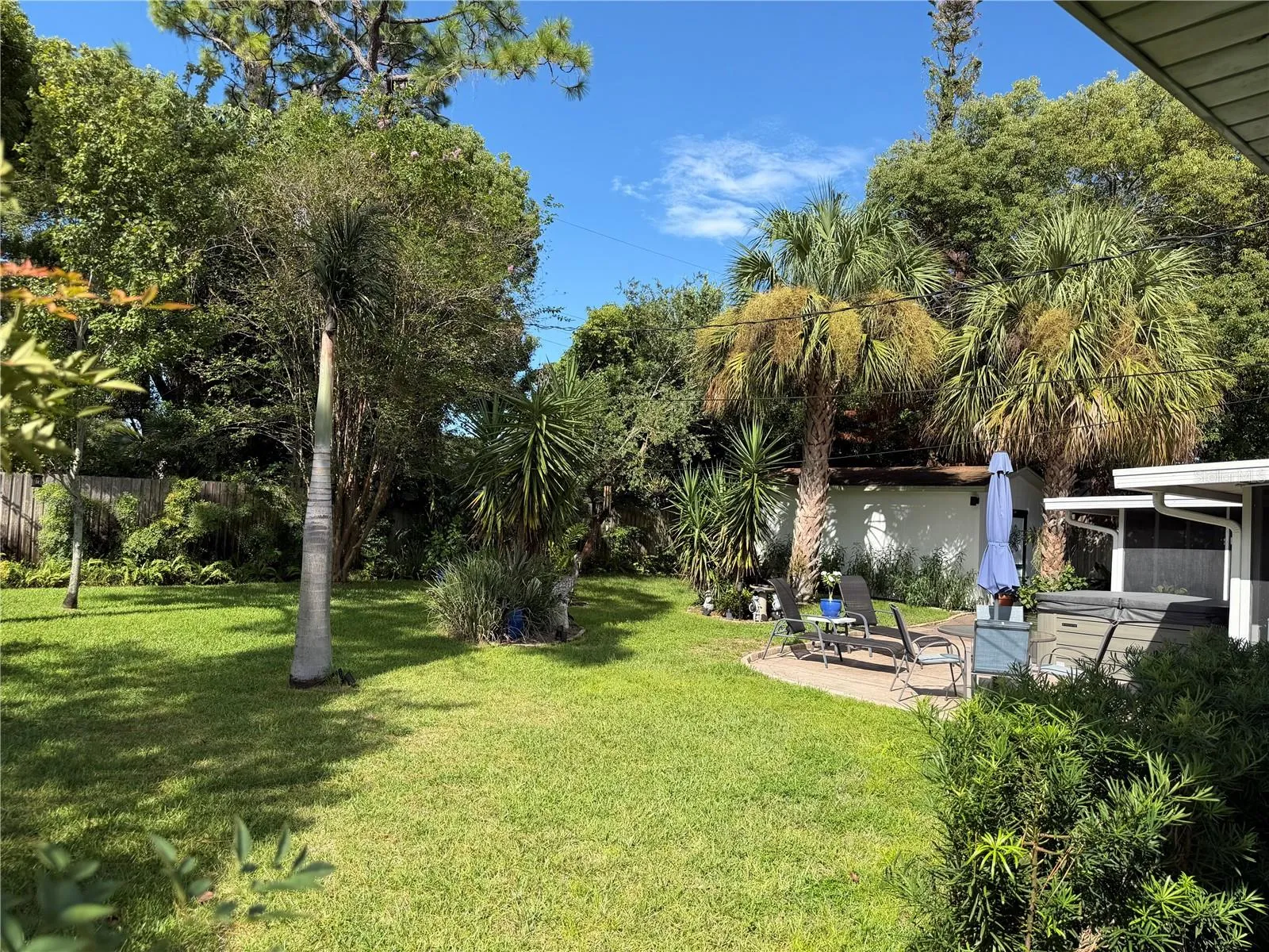 Back yard