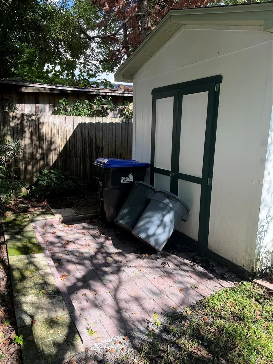 Back of shed