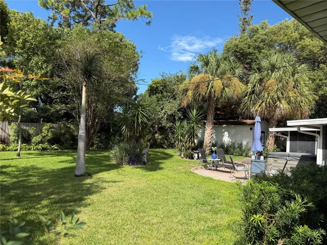 Back yard