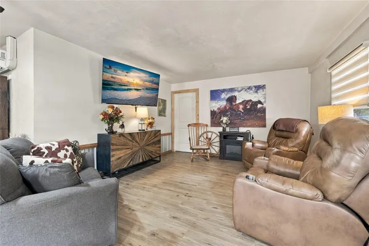 In-Law Apartment Living Room