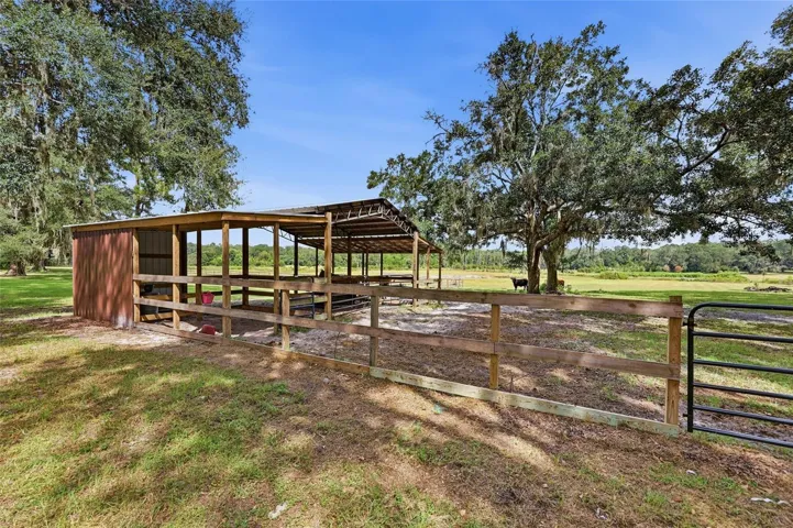 Animal Barn