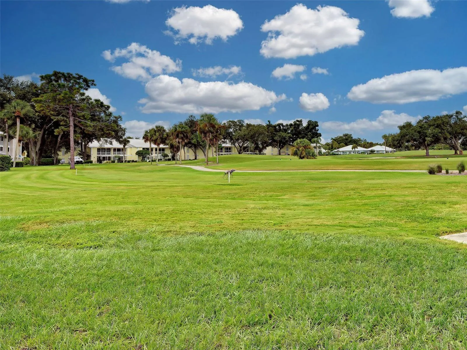Expansive golf course view from the back patio