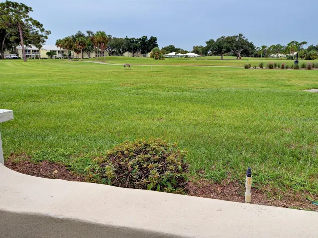 View from the patio