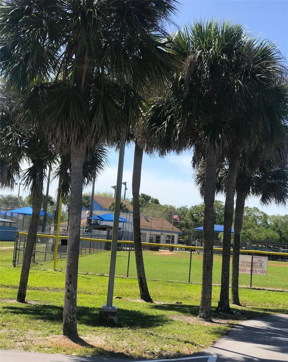 Baseball Field