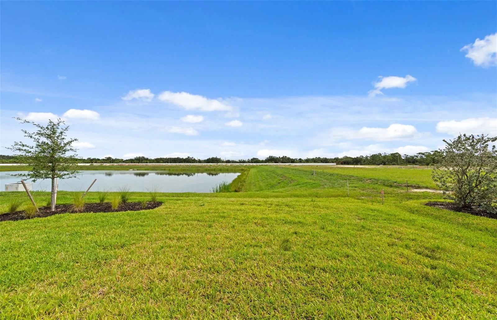 View of the lake