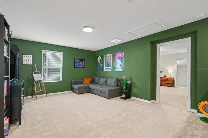 Bonus Area Loft