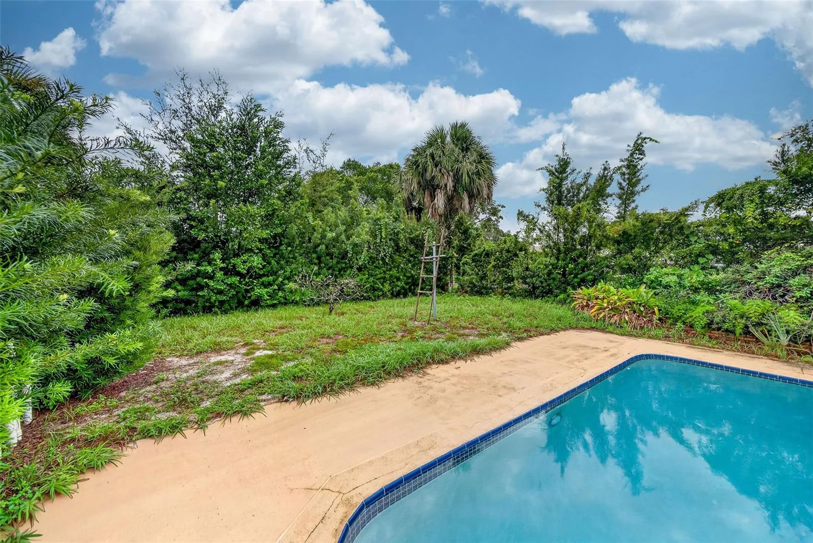 Large grassy backyard