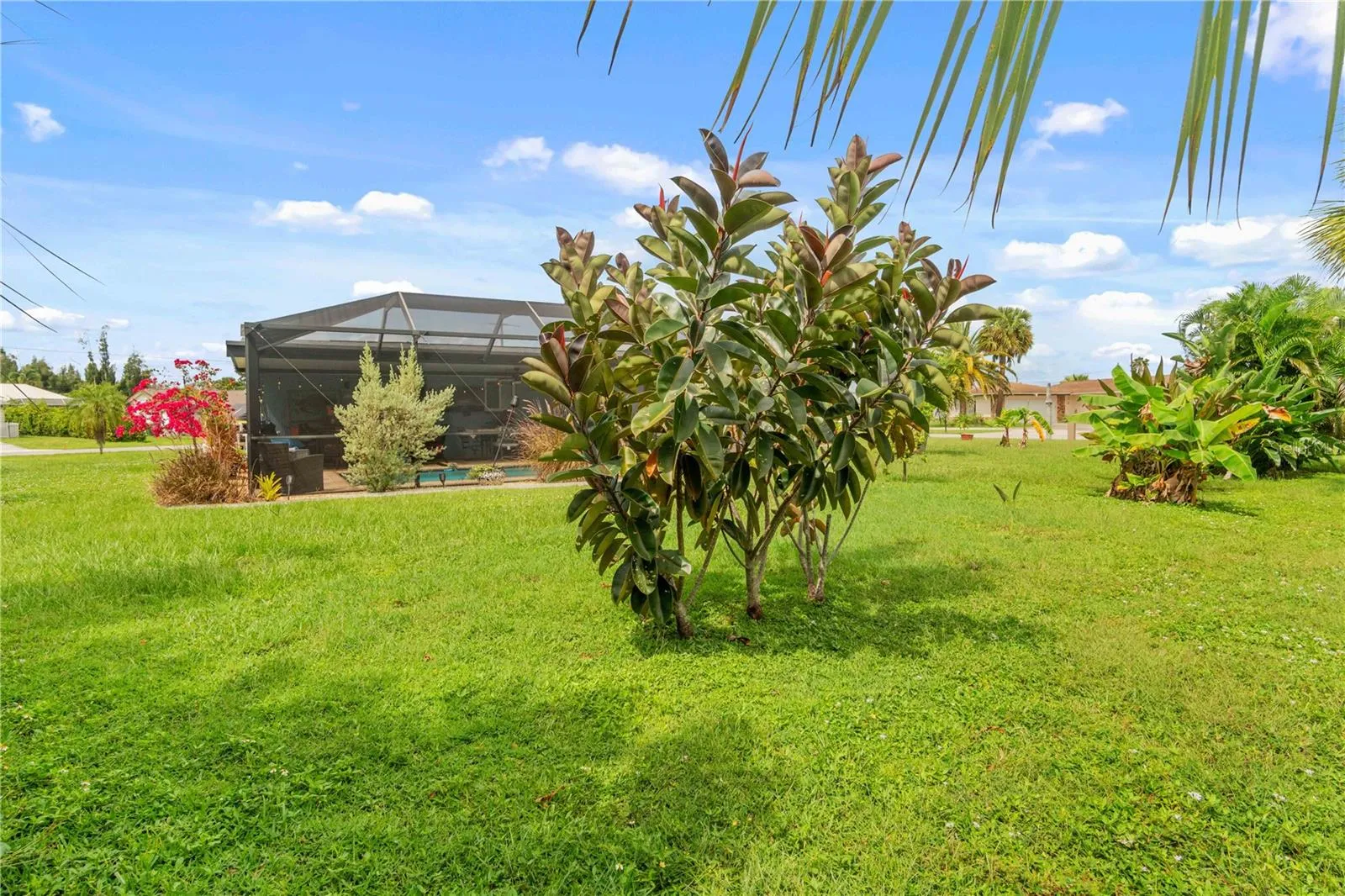 Backyard of Front of 361 East Tarpon Blvd NW