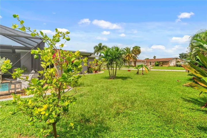 Backyard of Front of 361 East Tarpon Blvd NW