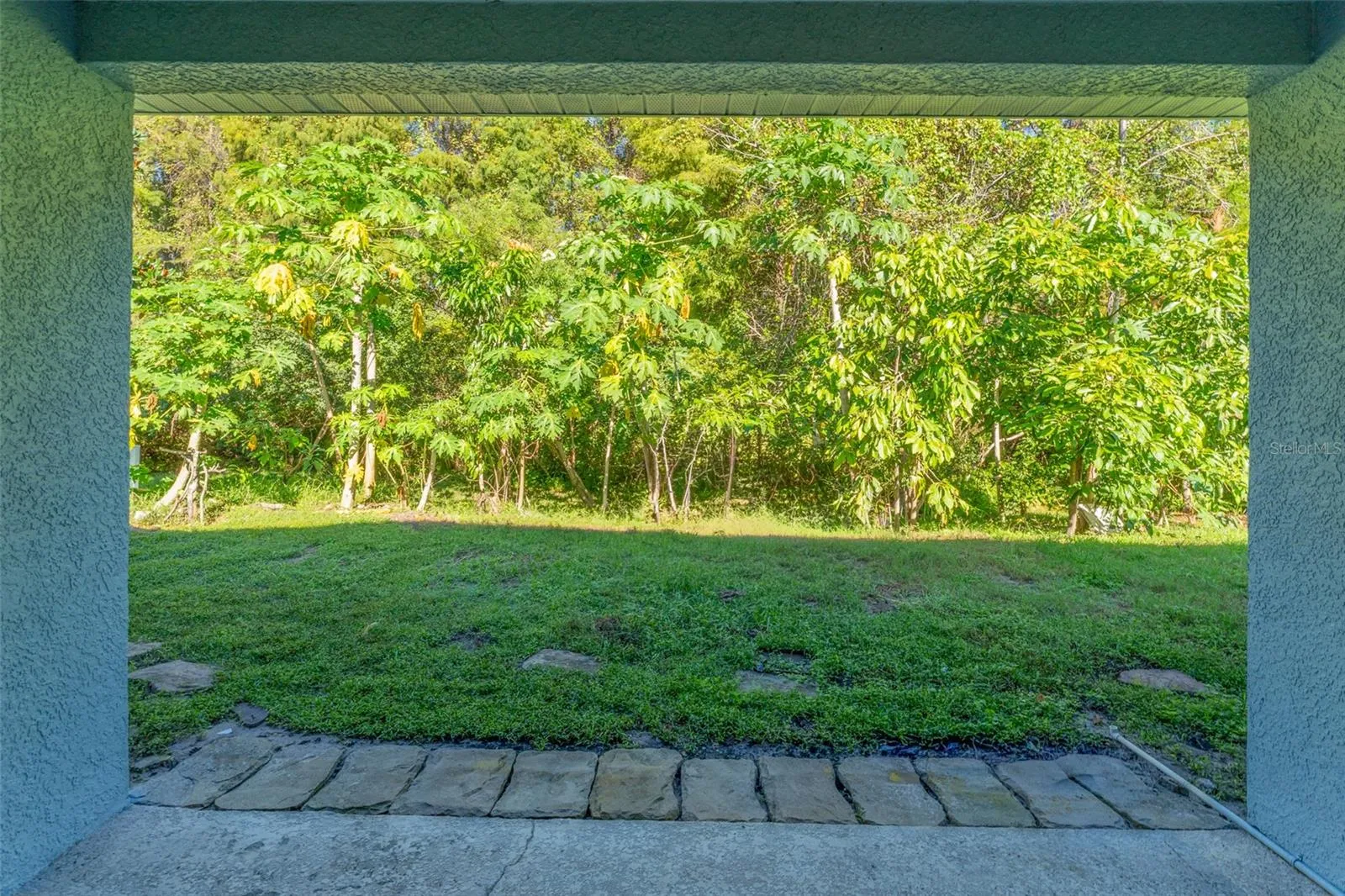View of conservation lot from covered patio