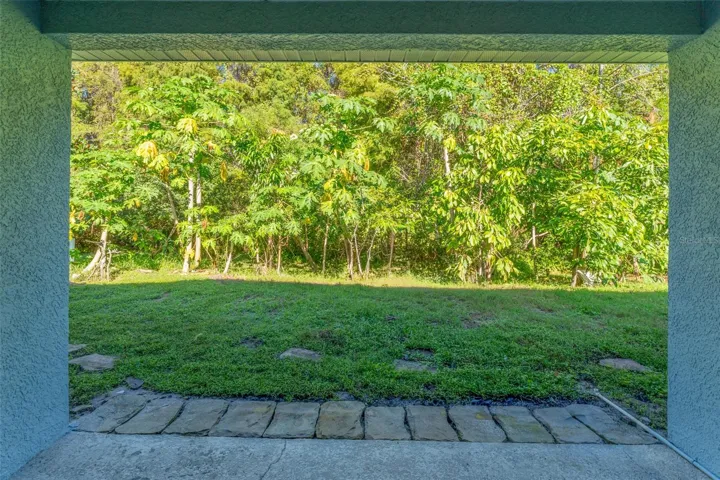 View of conservation lot from covered patio