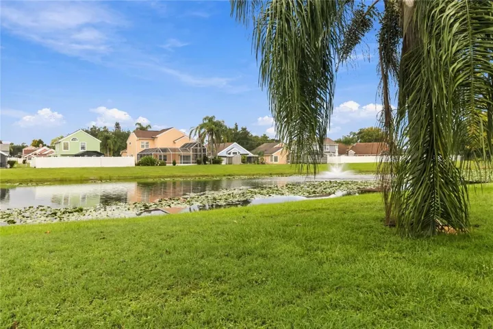 Pond view