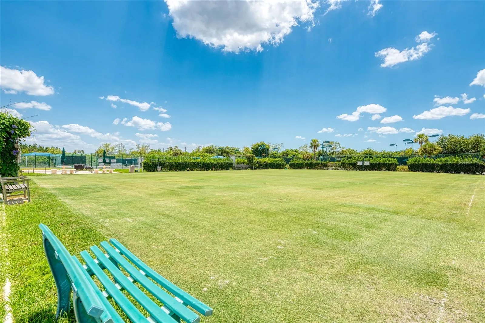 Lawn Croquet