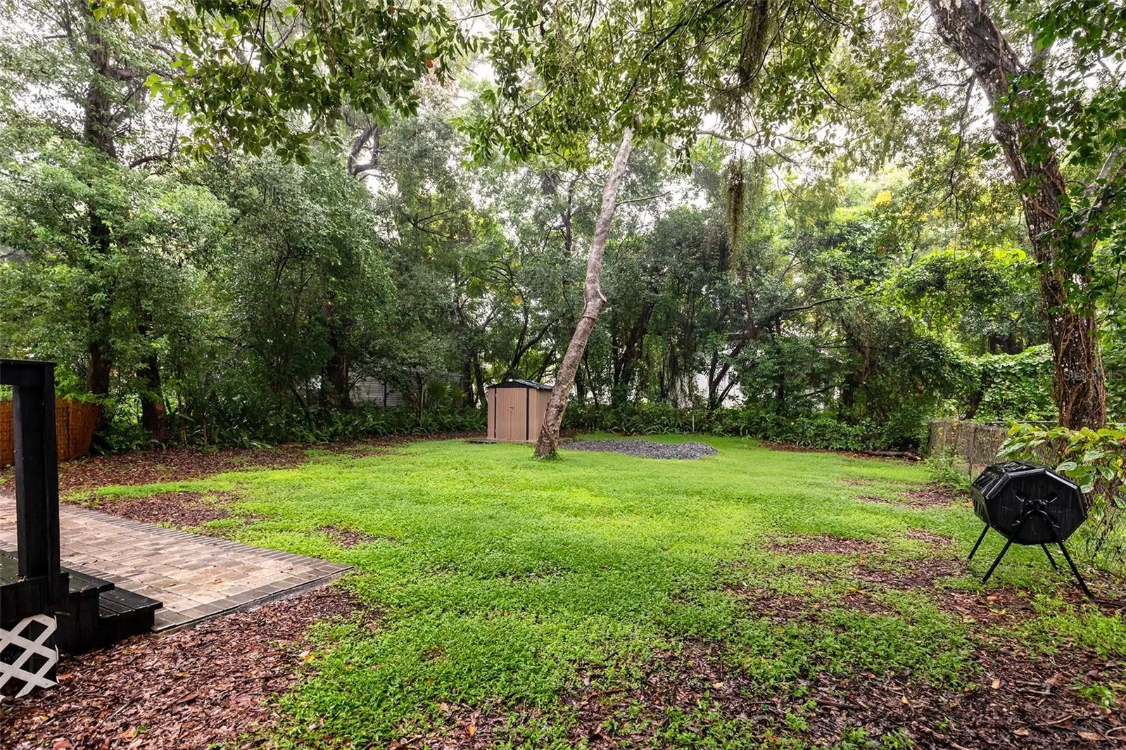 Backyard