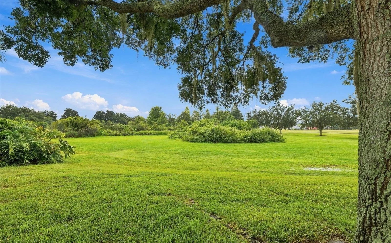 LARGE private backyard