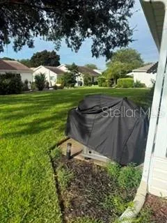 Big back yard