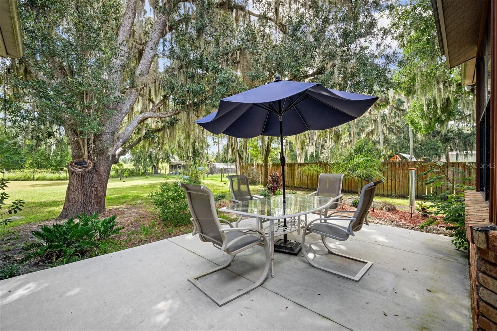 Patio/ Backyard